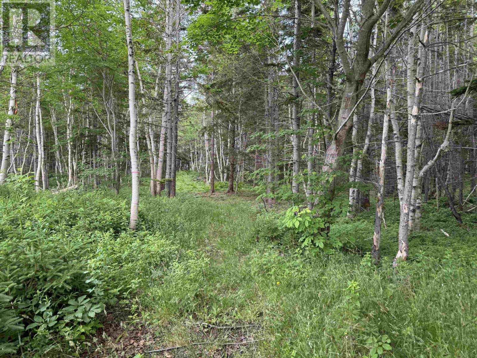 Property 13 of 26 of 41251 Cabot Trail