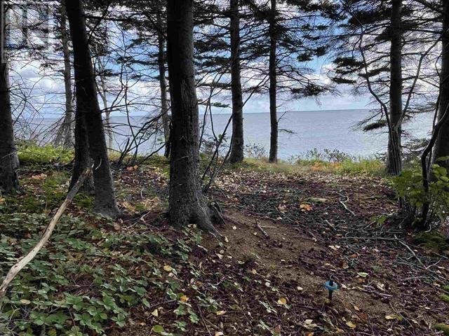 Property 21 of 26 of 41251 Cabot Trail