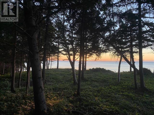 Property 24 of 26 of 41251 Cabot Trail