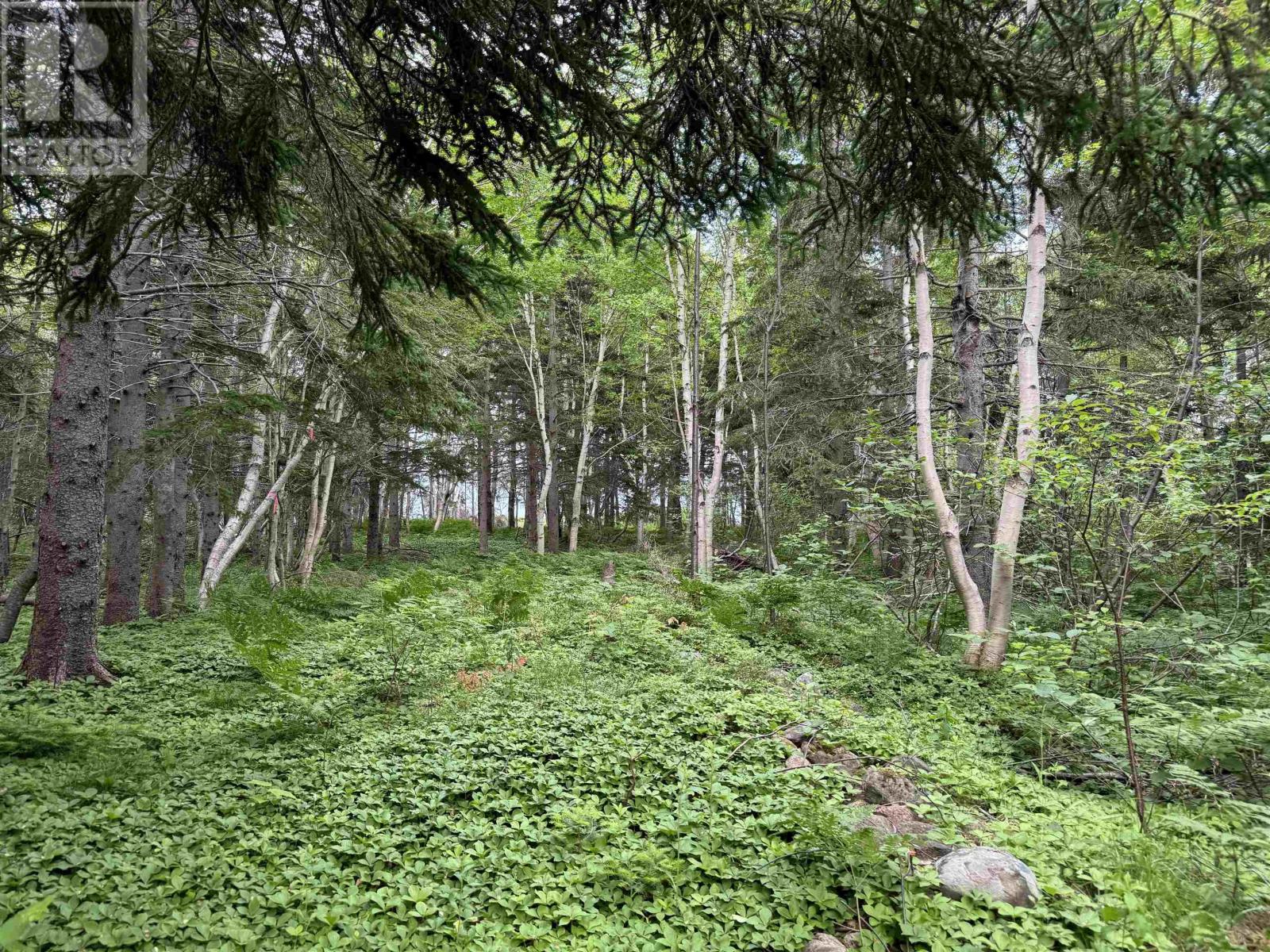 Property 14 of 26 of 41251 Cabot Trail