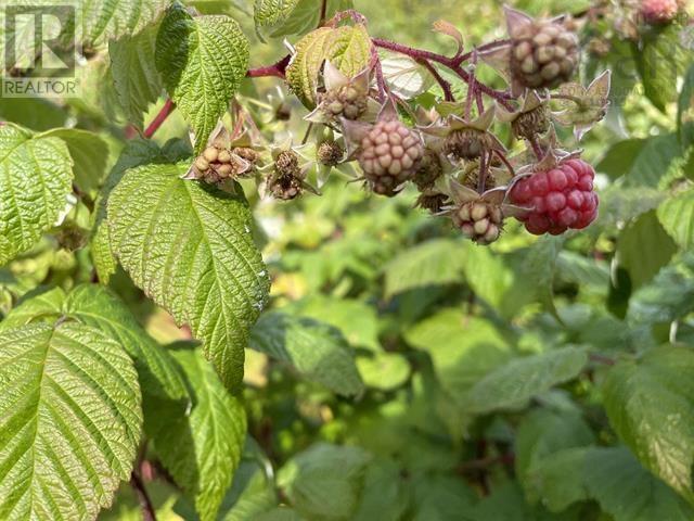 Property 22 of 26 of 41251 Cabot Trail