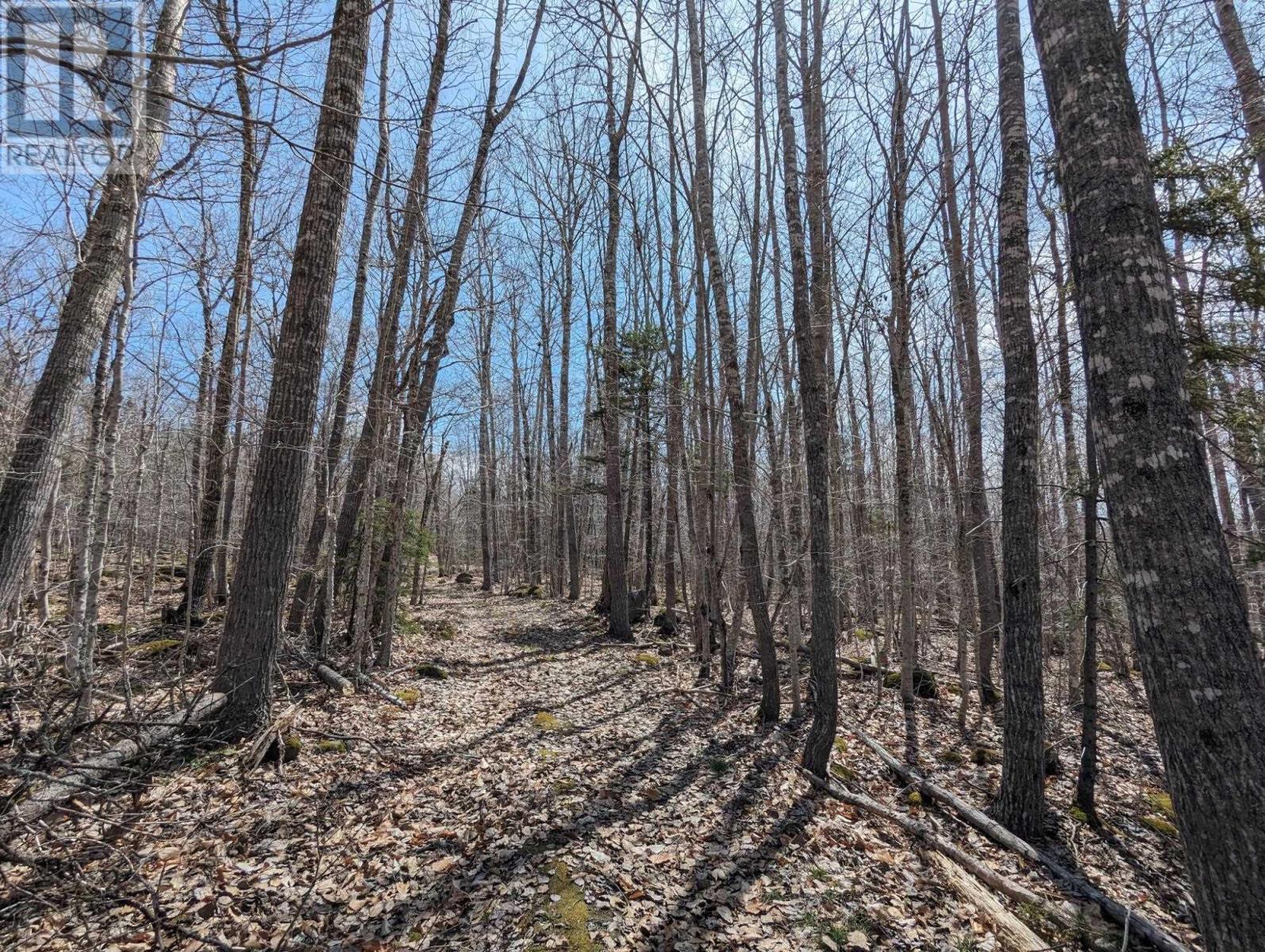 Property 8 of 12 of 111 East Side Drive