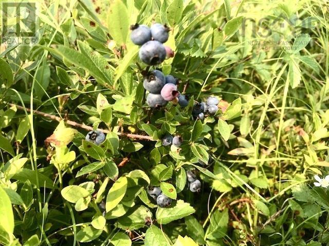 Property 22 of 24 of 2925 Highway 203