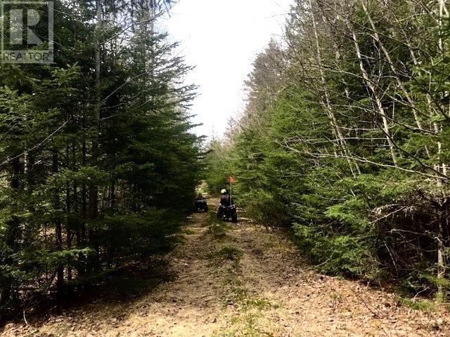 Property 21 of 24 of 2925 Highway 203