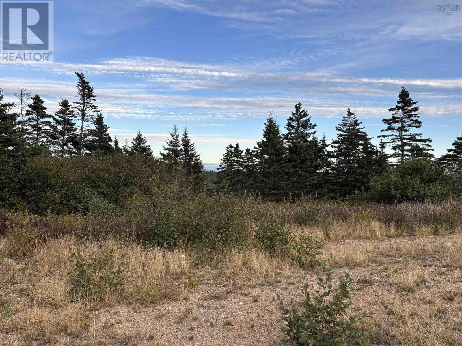 Property 3 of 5 of 966 Highway 217