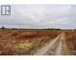 Lots Thimot Road, Saulnierville, NS B0W2Z0 Photo 7