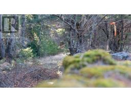 Lot Ss-1 Maple Drive, Lower Ohio, NS B0T1W0 Photo 16