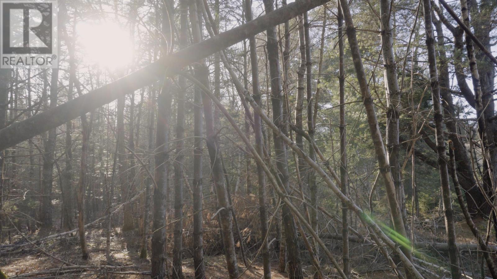 Property 24 of 27 of Lot SS-1 Maple Drive