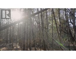 Lot Ss-1 Maple Drive, Lower Ohio, NS B0T1W0 Photo 25