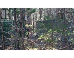 Lot Ss-1 Maple Drive, Lower Ohio, NS B0T1W0 Photo 14