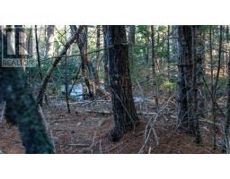 Lot Ss-1 Maple Drive, Lower Ohio, NS B0T1W0 Photo 9