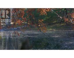 Lot Ss-2 Maple Drive, Lower Ohio, NS B0T1W0 Photo 10