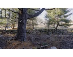 Lot Ss-1 Maple Drive, Lower Ohio, NS B0T1W0 Photo 26
