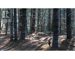 Lot Ss-1 Maple Drive, Lower Ohio, NS B0T1W0 Photo 8