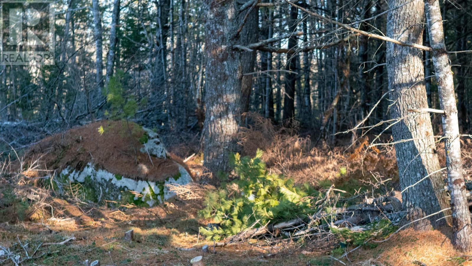 Property 17 of 27 of Lot SS-1 Maple Drive