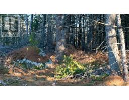 Lot Ss-1 Maple Drive, Lower Ohio, NS B0T1W0 Photo 24