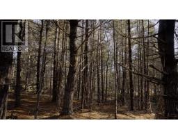 Lot Ss-1 Maple Drive, Lower Ohio, NS B0T1W0 Photo 19