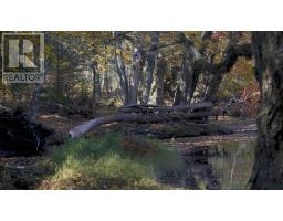 Lot Ss-2 Maple Drive, Lower Ohio, NS B0T1W0 Photo 28