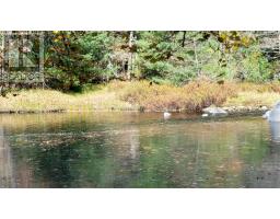 Lot Ss-2 Maple Drive, Lower Ohio, NS B0T1W0 Photo 25