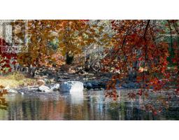 Lot Ss-2 Maple Drive, Lower Ohio, NS B0T1W0 Photo 15