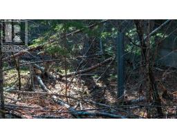 Lot Ss-1 Maple Drive, Lower Ohio, NS B0T1W0 Photo 10