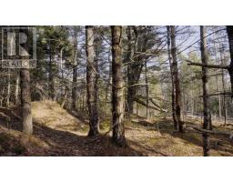 Lot Ss-1 Maple Drive, Lower Ohio, NS B0T1W0 Photo 22