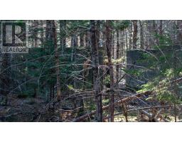 Lot Ss-1 Maple Drive, Lower Ohio, NS B0T1W0 Photo 7