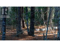 Lot Ss-1 Maple Drive, Lower Ohio, NS B0T1W0 Photo 15