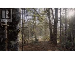 Lot Ss-1 Maple Drive, Lower Ohio, NS B0T1W0 Photo 27