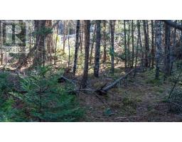 Lot Ss-1 Maple Drive, Lower Ohio, NS B0T1W0 Photo 12