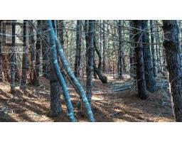 Lot Ss-1 Maple Drive, Lower Ohio, NS B0T1W0 Photo 23