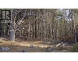 Lot Ss-1 Maple Drive, Lower Ohio, NS B0T1W0 Photo 21