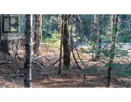Lot Ss-1 Maple Drive, Lower Ohio, NS B0T1W0 Photo 17