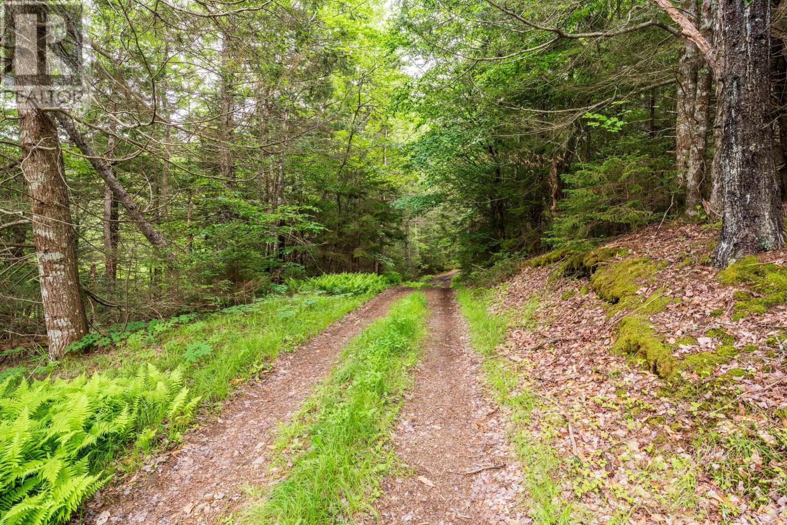 Property 13 of 32 of Lots Isadore Thibeau Road