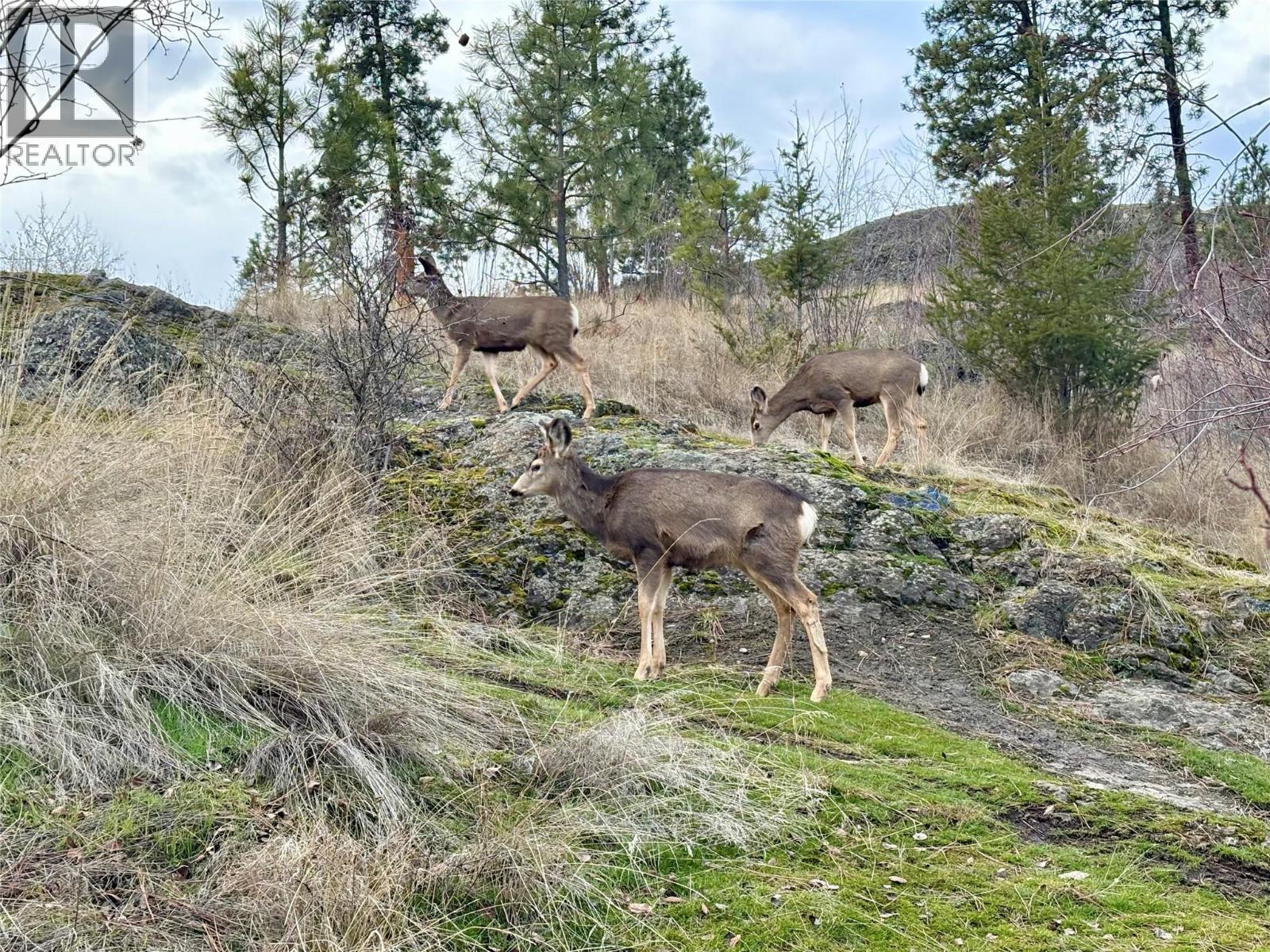 3409 39 Avenue, Vernon