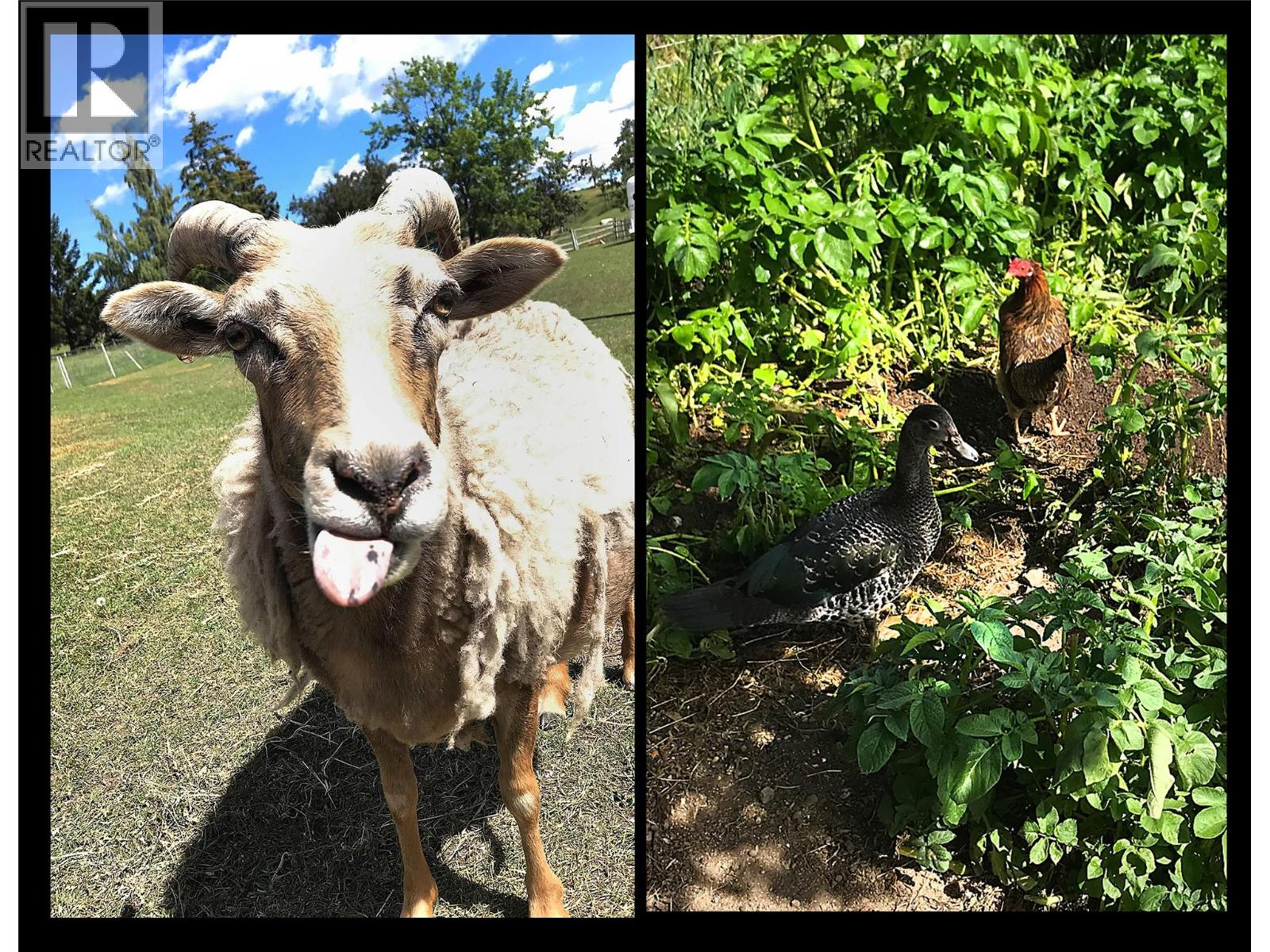 7480 WEST SUBDIVISION ROAD - 30