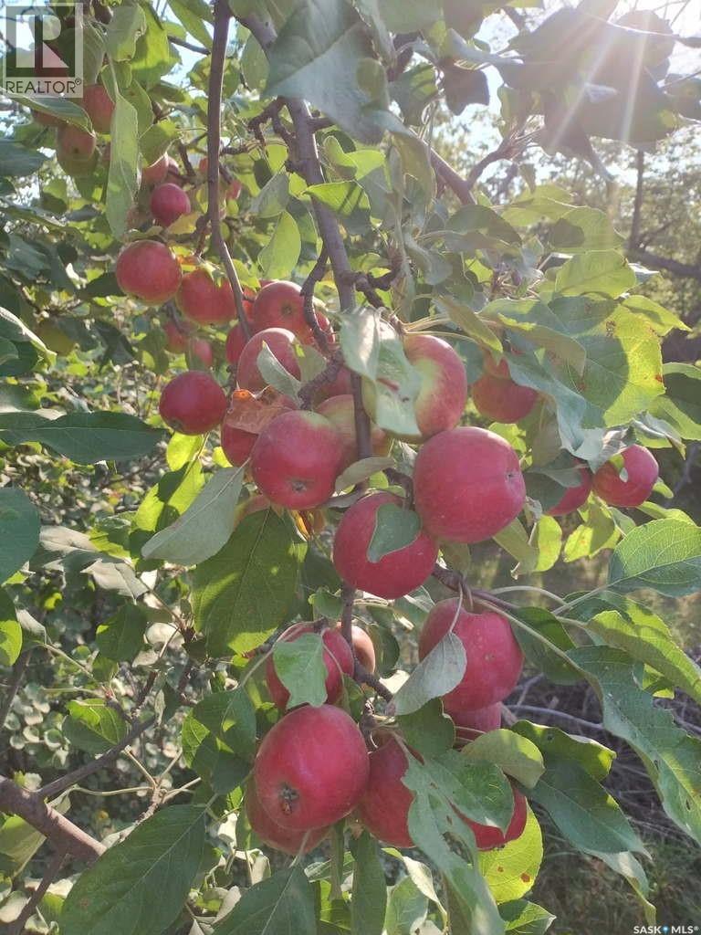 BRIGHTHOLME ACREAGE — photo 37