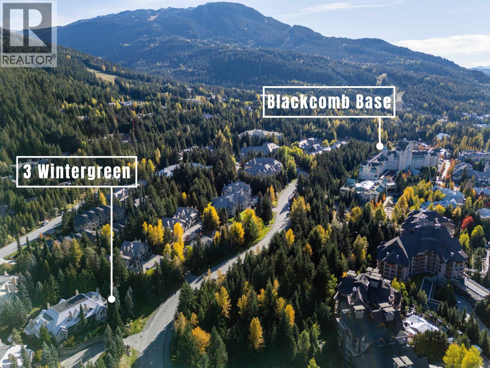 3 4725 SPEARHEAD DRIVE, Whistler