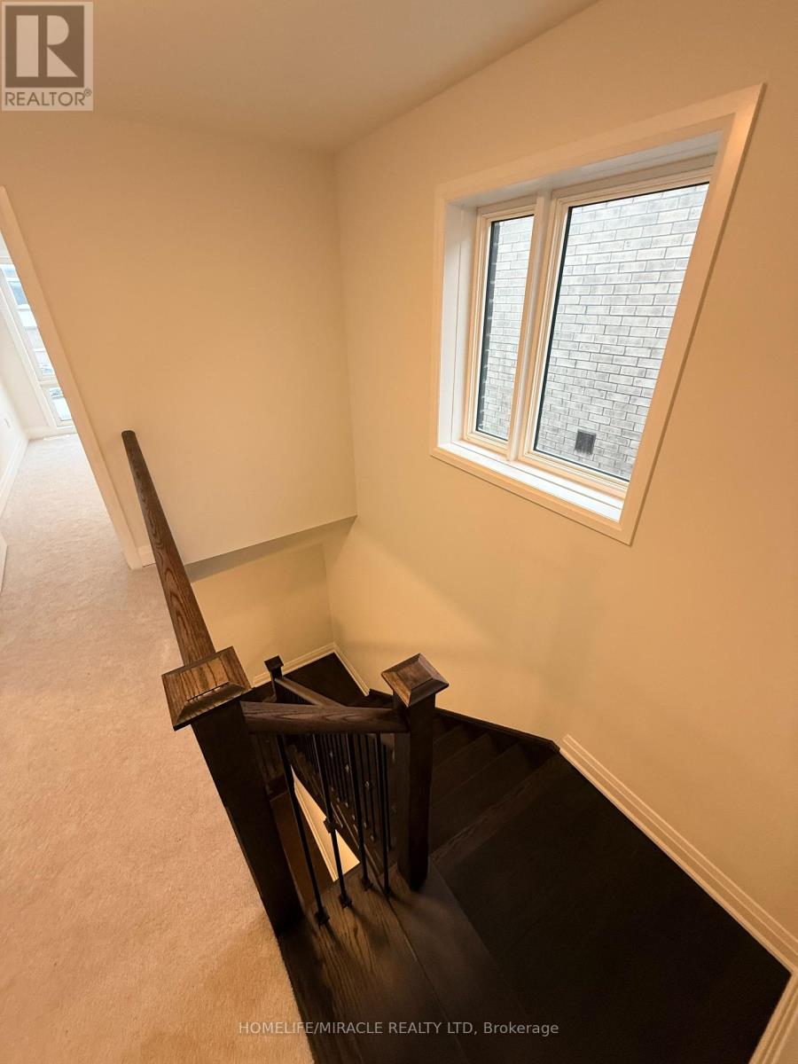 20 SWEET CICELY STREET - 16