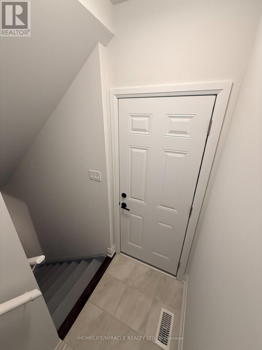 20 SWEET CICELY STREET - 26