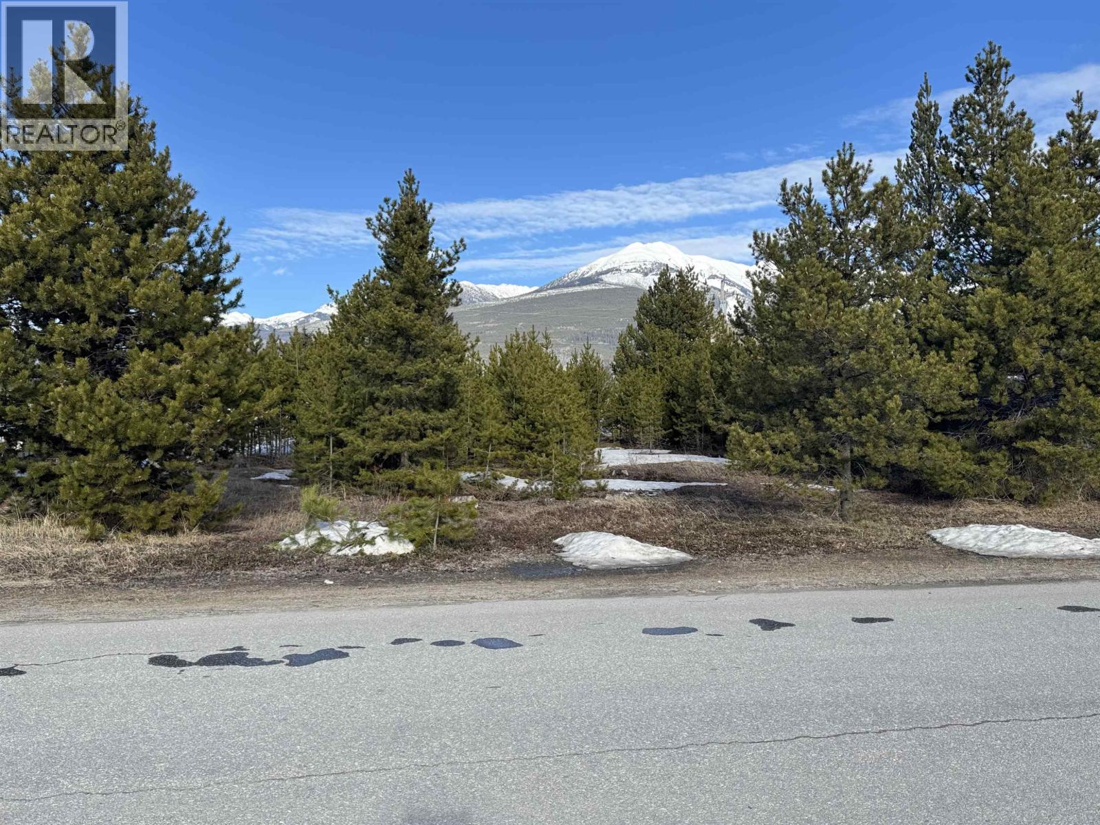 1330 9TH AVENUE - Photo 4 of 8, Valemount, British Columbia