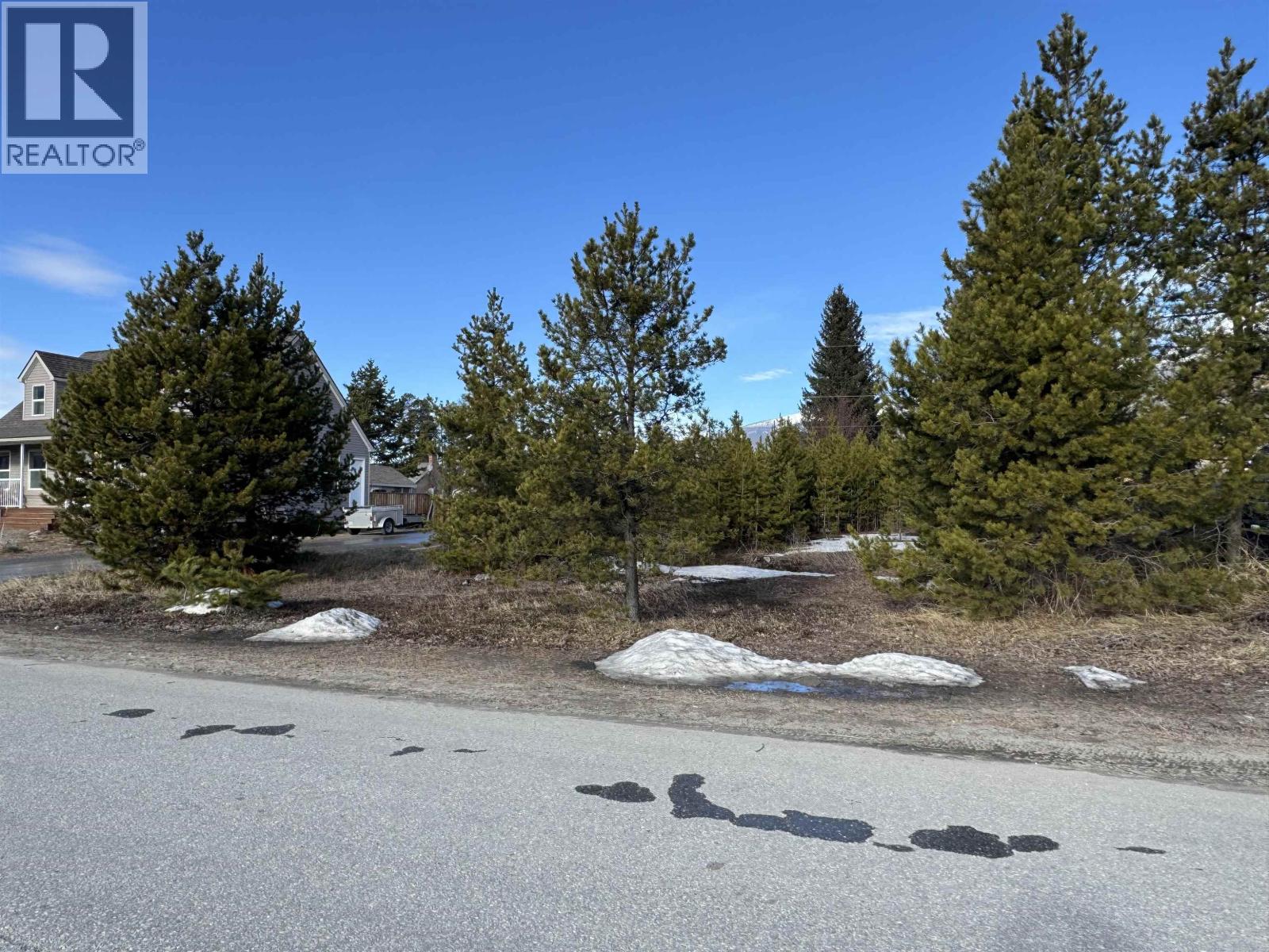 1330 9TH AVENUE - Photo 3 of 8, Valemount, British Columbia