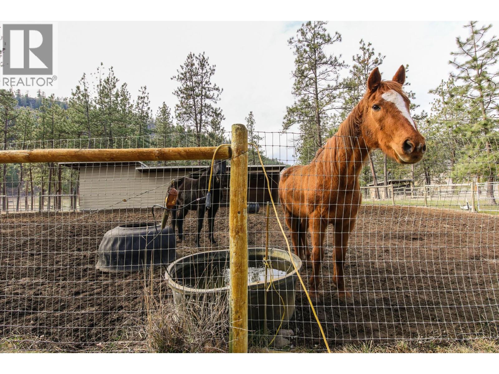 698 Green Lake Road, Oliver