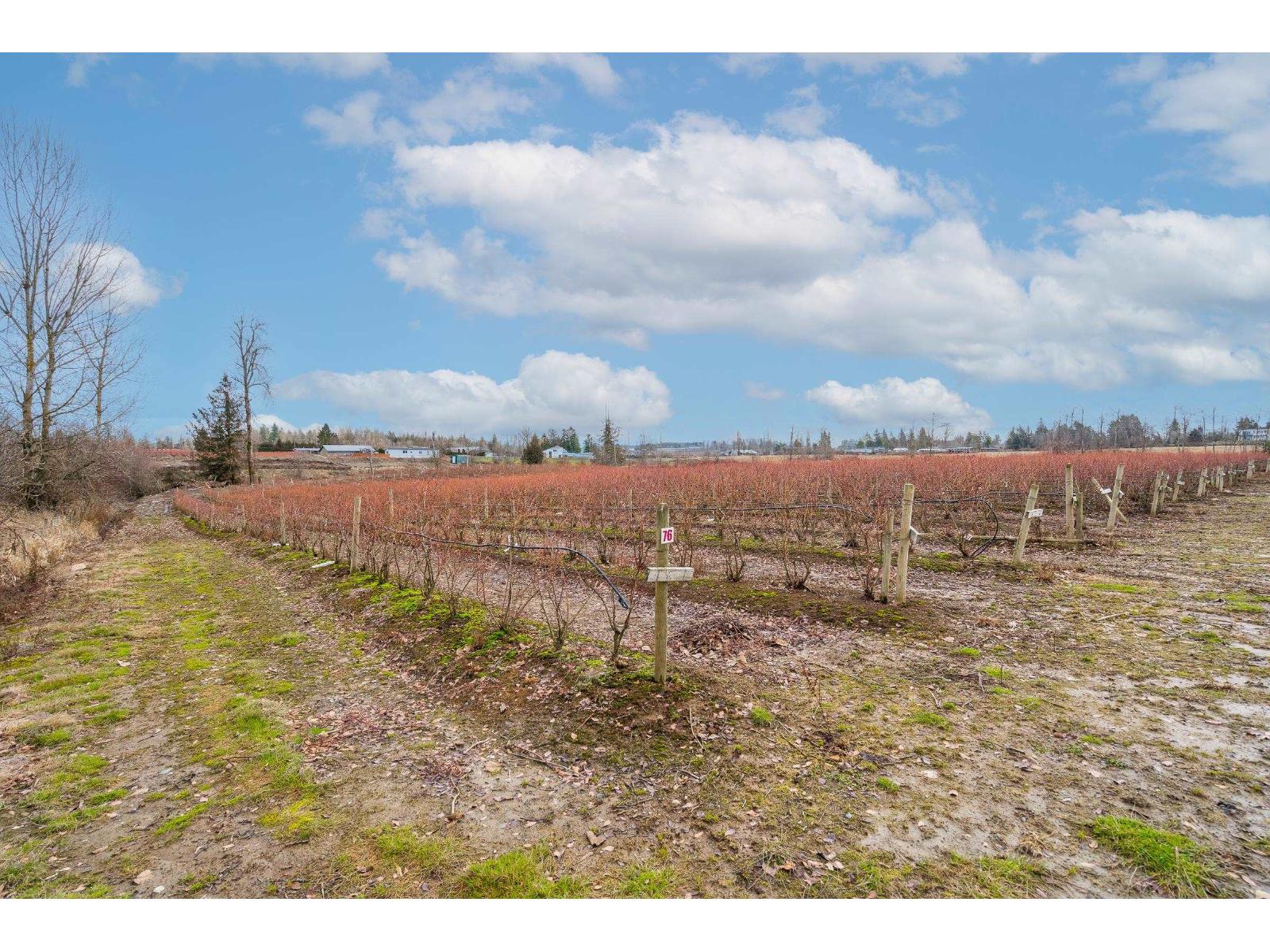 3811 LEFEUVRE ROAD, Abbotsford