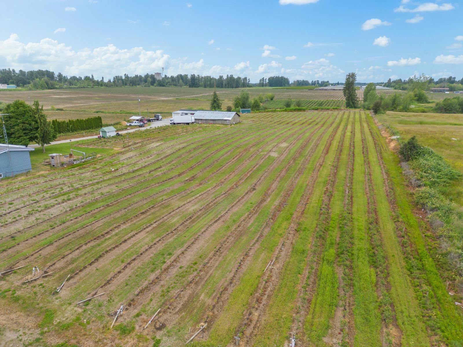 3811 LEFEUVRE ROAD, Abbotsford