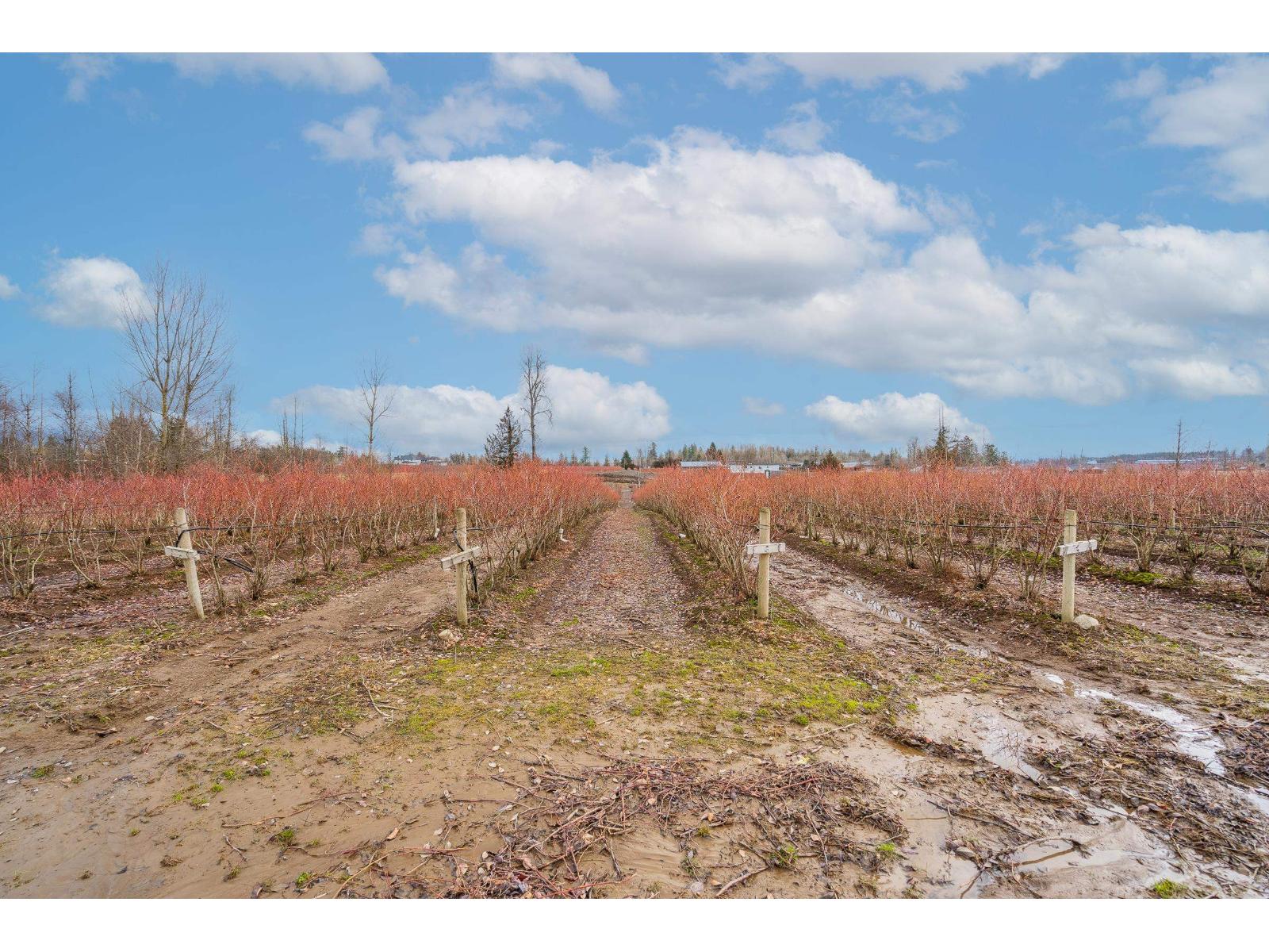 3811 LEFEUVRE ROAD, Abbotsford