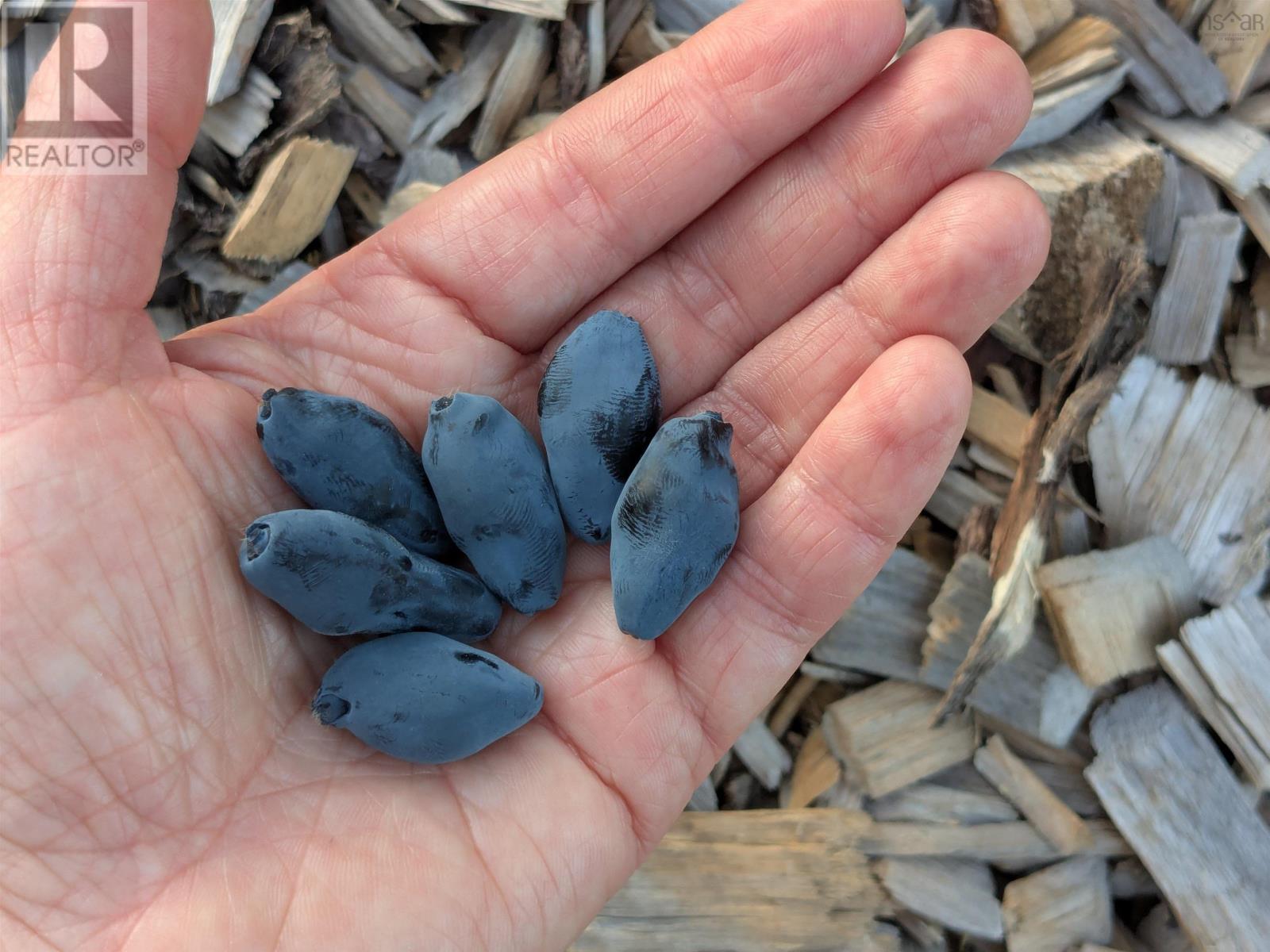 Property 13 of 17 of 25-1 28B Mines Road