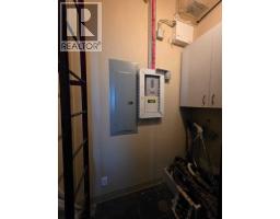 6229 54 Avenue, Rural Brazeau County, AB T7A1T1 Photo 28