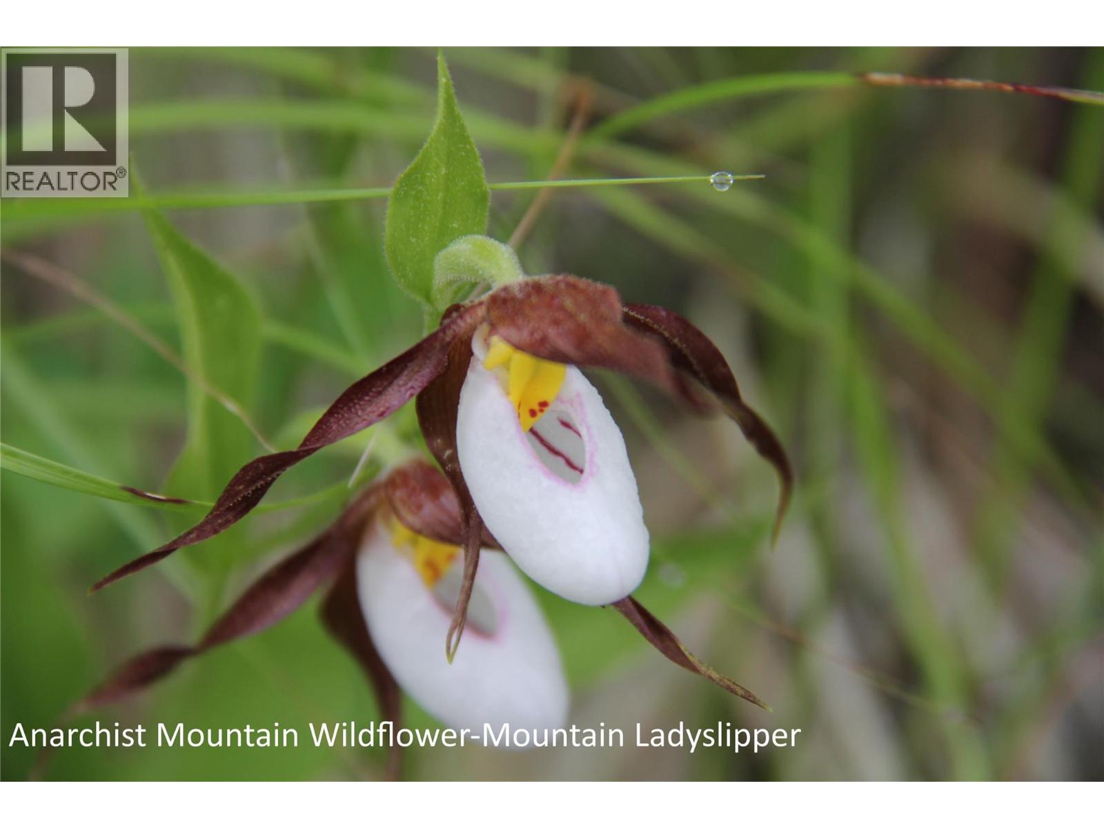 220 SASQUATCH Trail, Osoyoos