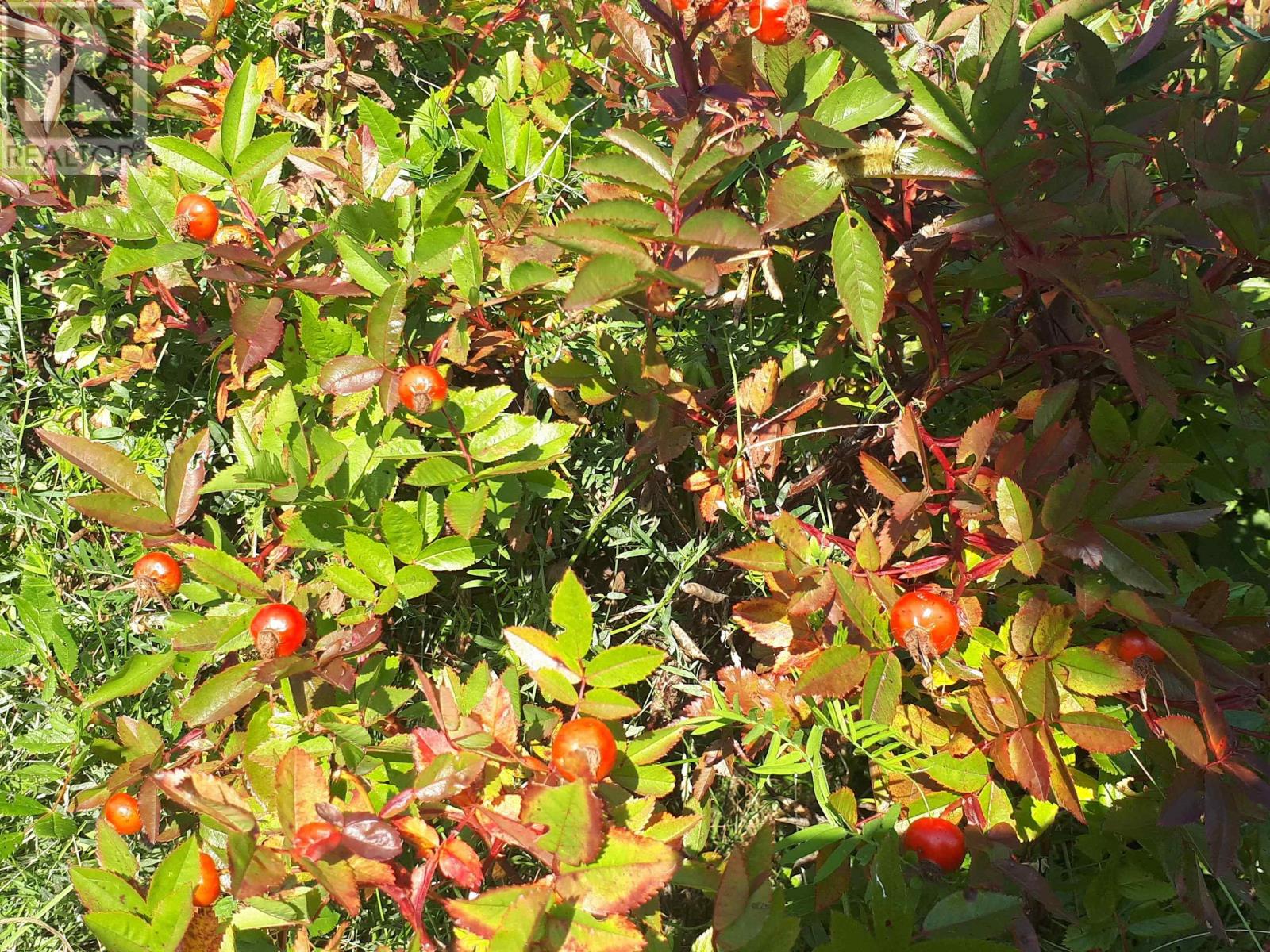 Property 22 of 35 of 75 Evanston Rd